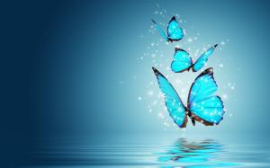 Blue Butterflies wallpaper thumb
