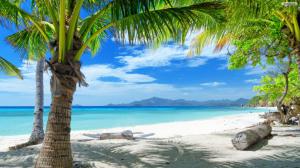 Paradise Beach, Sea, Water, Blue Sky, Tree, Sunshine wallpaper thumb