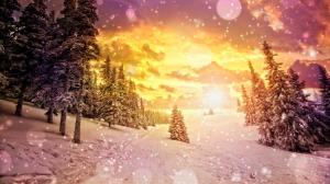 Bokeh Snow Winter Sunset Sunlight Trees HD wallpaper thumb