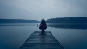 Christmas tree by the water wallpaper thumb