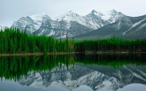 Herbert Lake, Banff National Park, mountain, water reflection wallpaper thumb