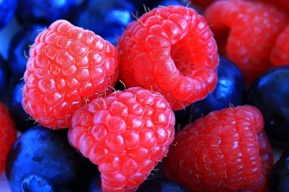 Raspberries, cranberries, berry, close-up wallpaper,raspberries HD wallpaper,cranberries HD wallpaper,berry HD wallpaper,close-up HD wallpaper,2048x1365 wallpaper