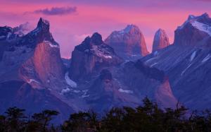 Nature, Landscape, Patagonia, Sunrise, Mountain, Torres Del Paine, Chile, Forest wallpaper thumb