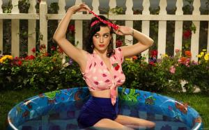 Katy Perry One of the Boys wallpaper thumb