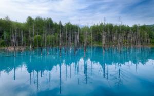 Japan Hokkaido, blue pond, water reflection, trees, blue sky wallpaper thumb