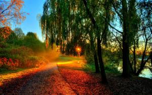 Beautiful autumn scenery, morning sunrise, trees, leaves, path wallpaper thumb