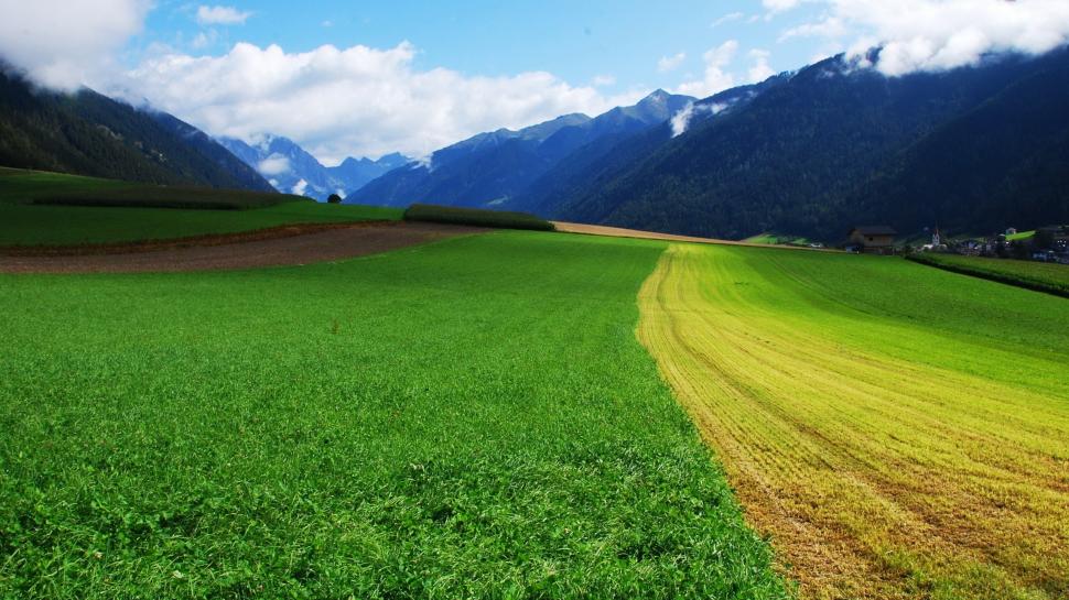 Green Fields Between the Mountains wallpaper,Scenery HD wallpaper,2560x1440 wallpaper