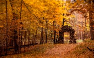 Nature, Architecture, Trees, Forest, Old Building, Ruin, Fall, Leaves wallpaper thumb