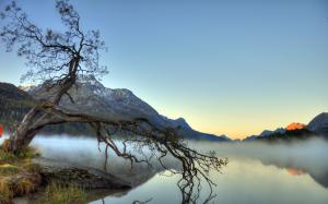 Lake, fog, tree, mountains wallpaper thumb