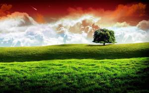 Independence Day Nature  Picture wallpaper thumb