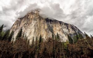 California Yosemite National Park View wallpaper thumb