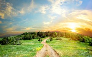 Road, trees, grass, sky, clouds, sunset wallpaper thumb