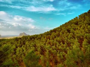 Nature, Mountain, Landscape, Sky, Forest wallpaper thumb