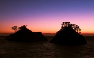 Japan, Shizuoka Prefecture, sea, rocks, trees, evening, sunset, purple sky wallpaper thumb
