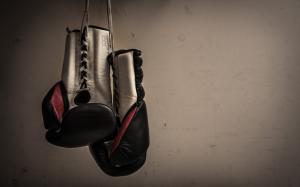 Boxing Gloves Hanging wallpaper thumb