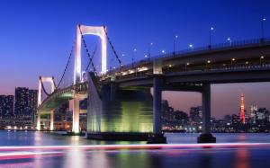City night of Tokyo in Japan, bridge, buildings, lights wallpaper thumb