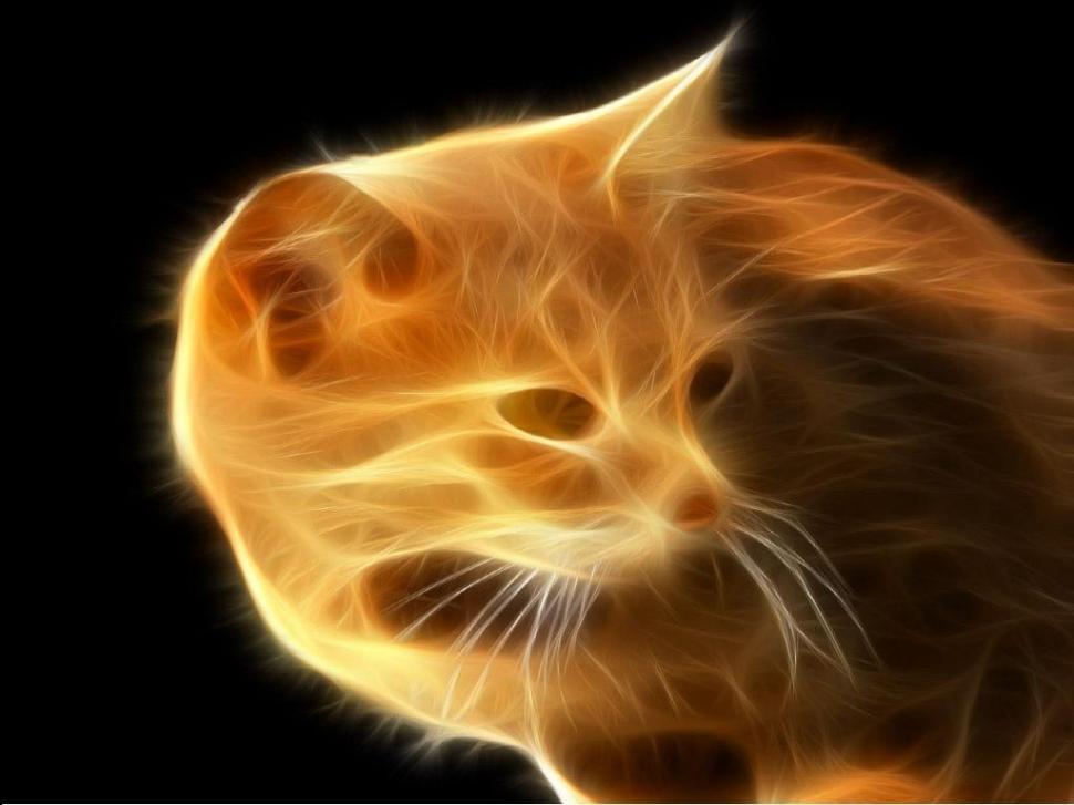 Firecat cat fire HD wallpaper,animals wallpaper,cat wallpaper,fire wallpaper,1024x768 wallpaper