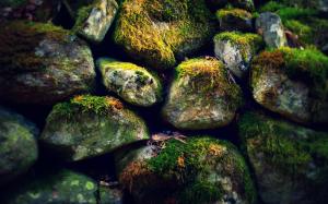 Rocks Stones Moss HD wallpaper thumb
