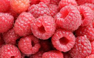 Fruits Food Raspberries Free Download wallpaper thumb