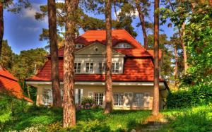 Small house between the trees wallpaper thumb