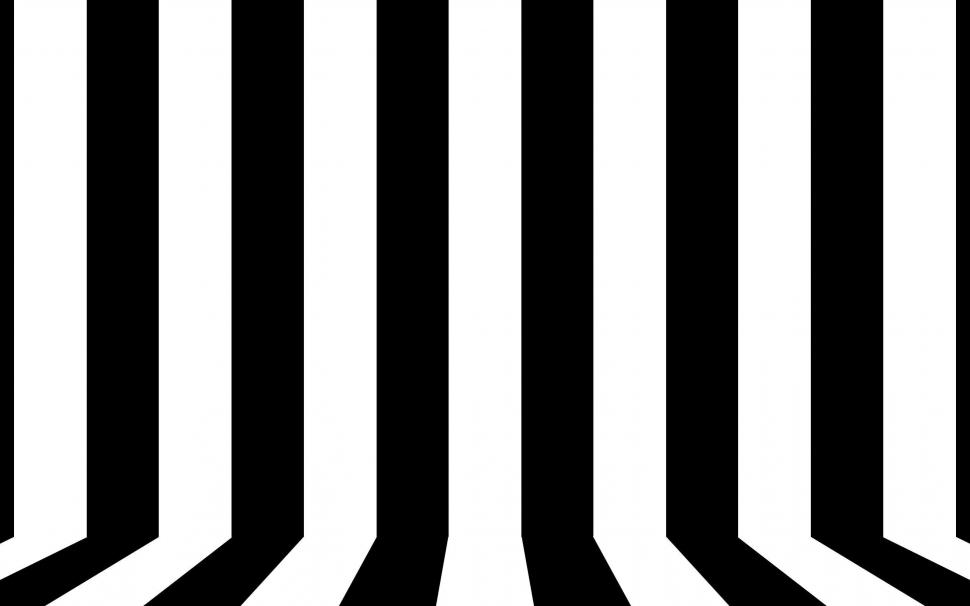 Black and white lines wallpaper,vector HD wallpaper,2560x1600 HD wallpaper,line HD wallpaper,stripe HD wallpaper,2560x1600 wallpaper