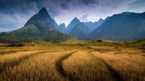 Nature, Landscape, Mountain, Clouds, Vietnam, Field, Trees, Forest, Spikelets, Hill wallpaper thumb