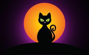 cat, black, halloween, moon, silhouette wallpaper thumb