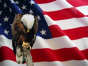 eagle praying Eagle flag Floating wind HD wallpaper thumb