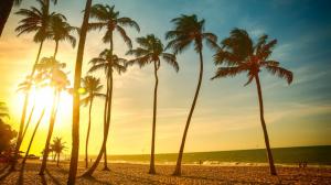 Tropical beach beautiful sunset, palm tree, sea, people, dusk wallpaper thumb
