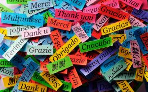 Thanks of different language, colorful paper pieces wallpaper thumb