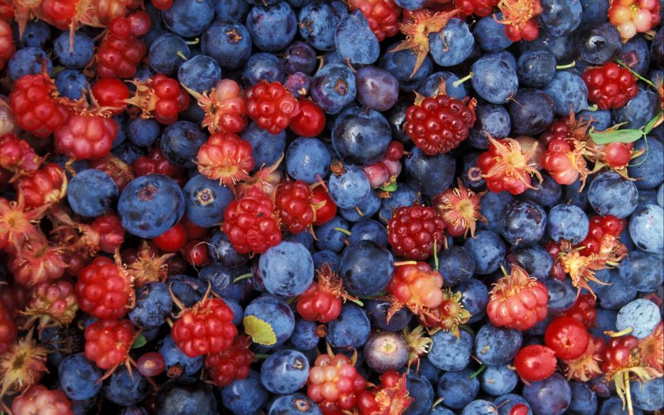 Alaska wild berries wallpaper,fruits HD wallpaper,1920x1200 wallpaper