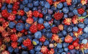 Alaska wild berries wallpaper thumb