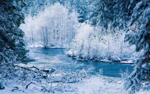 Winter nature scenery, white snow, trees, river wallpaper thumb
