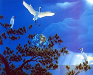 freedom animal Bird fly sky HD wallpaper thumb