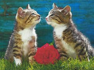 Two Kittens Kissing With A Rose wallpaper thumb