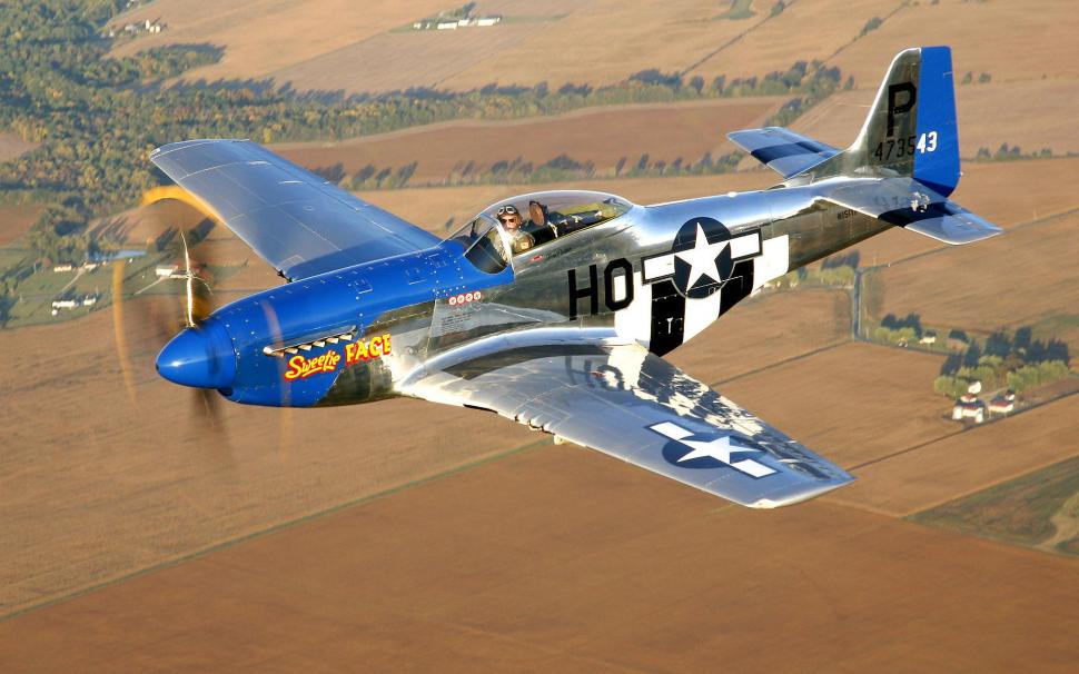 P51 Classic Airplane wallpaper,vintage aircraft HD wallpaper,classic HD wallpaper,airplane HD wallpaper,aircraft HD wallpaper,1920x1200 wallpaper