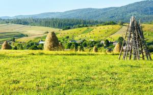 Farm field, hay, trees, mountains, houses, Ukraine, Carpathians wallpaper thumb