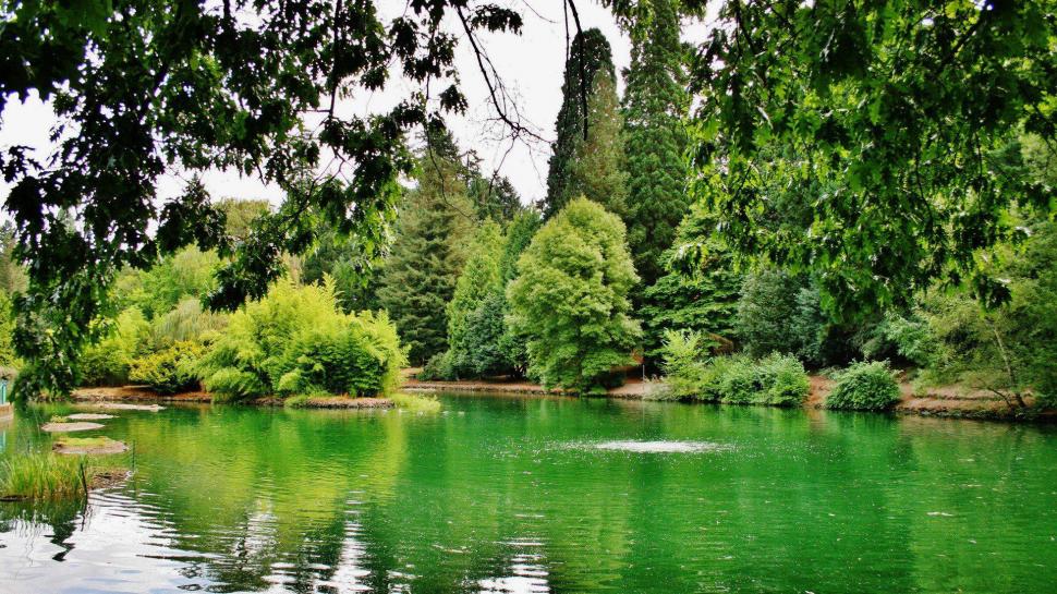 Green Landscapes Nature Trees Spring Lakes Parks Wide Resolution wallpaper,lakes HD wallpaper,green HD wallpaper,landscapes HD wallpaper,nature HD wallpaper,parks HD wallpaper,resolution HD wallpaper,spring HD wallpaper,trees HD wallpaper,wide HD wallpaper,1920x1080 wallpaper
