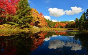 Clouds, forest, lake, trees, autumn wallpaper thumb