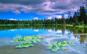 Nature, Landscape, Lake, Forest, Reflection, Clouds, Water wallpaper thumb