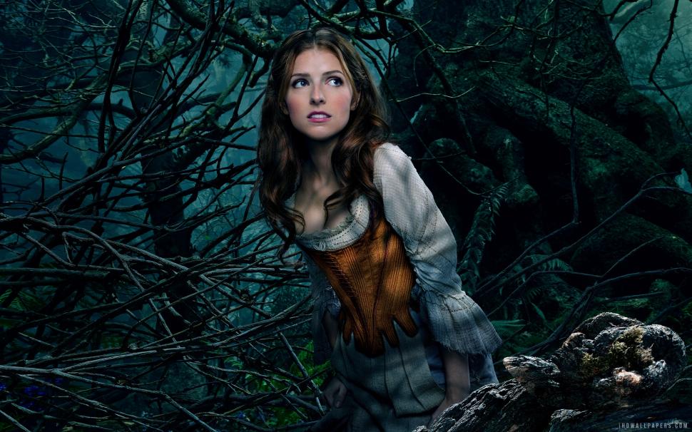 Anna Kendrick as Cinderella in Into the Woods wallpaper,woods HD wallpaper,into HD wallpaper,cinderella HD wallpaper,kendrick HD wallpaper,anna HD wallpaper,2880x1800 wallpaper