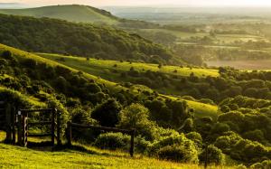 Pyecombe, West Sussex, England, farm, hills, green, trees wallpaper thumb