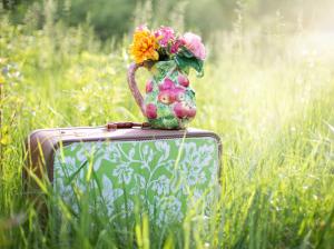 flowers, traveling, summer, countryside, apple, vase, meadow, grass, travel, still life, suitcase wallpaper thumb