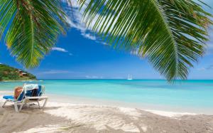 Beach, Summer, Tropical, Sea, Nature, Landscape, Caribbean, Palm Trees, Sand, Vacations wallpaper thumb