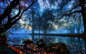 England, London, Morden Hall Park, trees, river, fog, autumn, dawn wallpaper thumb