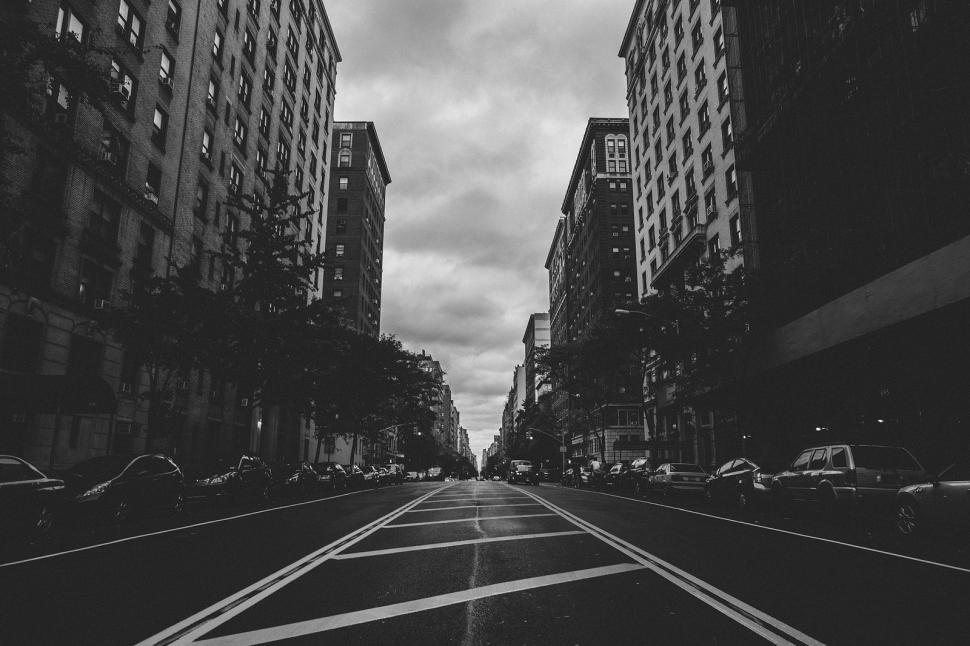 City, Street, Cars, Trees, Black And White wallpaper,city wallpaper,street wallpaper,cars wallpaper,trees wallpaper,black and white wallpaper,1600x1066 wallpaper