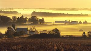 Farms In Yellow Morning Mist wallpaper thumb