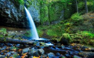 Oregon, United States, forest, trees, waterfall, rocks wallpaper thumb