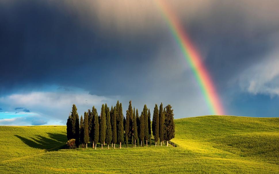 Rainbow in Tuscany wallpaper,rainbow HD wallpaper,tuscany HD wallpaper,trees HD wallpaper,landscape HD wallpaper,gorgeous HD wallpaper,1920x1200 wallpaper