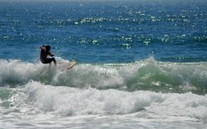Surfing HD wallpaper thumb
